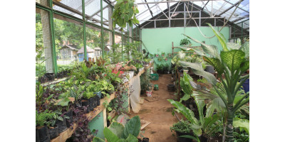 Agribisnis Tanaman Pangan Dan Hortikultura